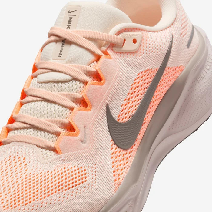 👟 Nike Pegasus 41