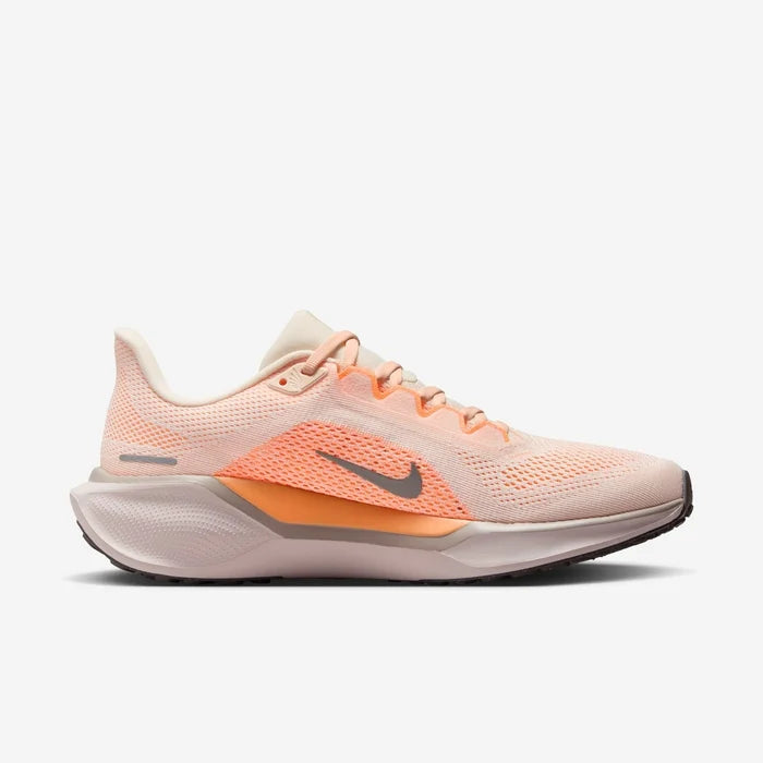 👟 Nike Pegasus 41