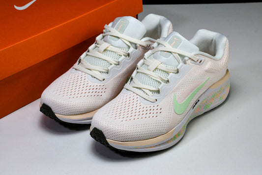 👟 Nike Zoom Winflo 11